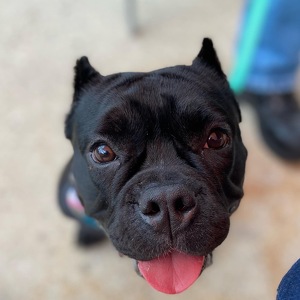 Fundraising Page: Heidi Marvin